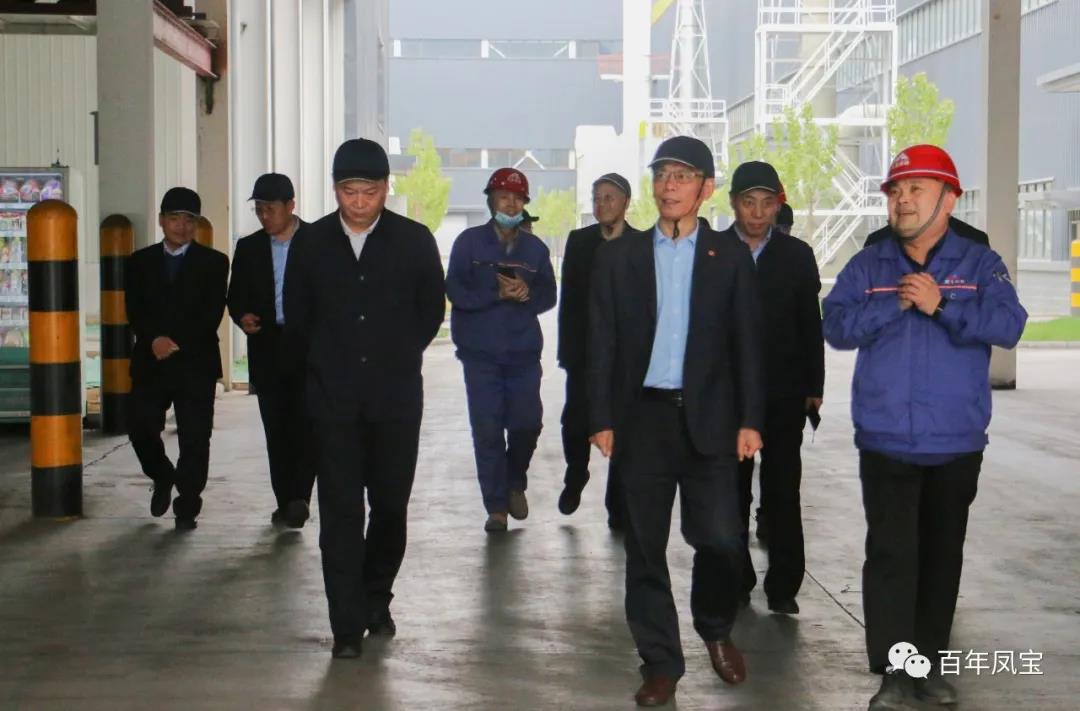中国铸造协会专家组成员莅临凤宝重科调研指导工作