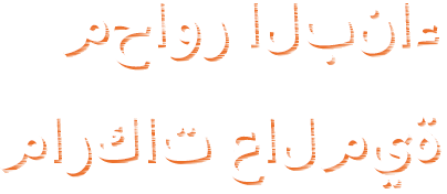 شركة خنان فينغباو لتكنولوجيا الصناعة الثقيلة المحدودة